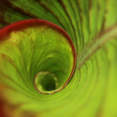 BulwarkBay Investment Managers further bolsters its sustainability research capabilities